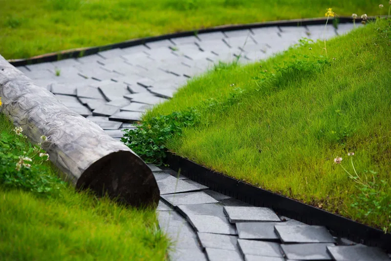 Inspiring Green Roof Design